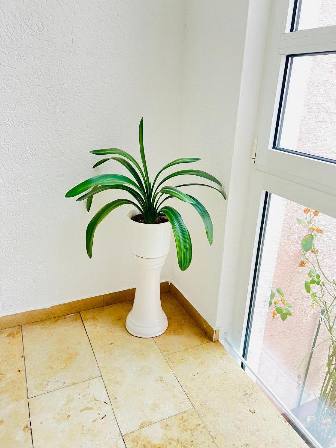 Hotel Weller Kahl Am Main エクステリア 写真